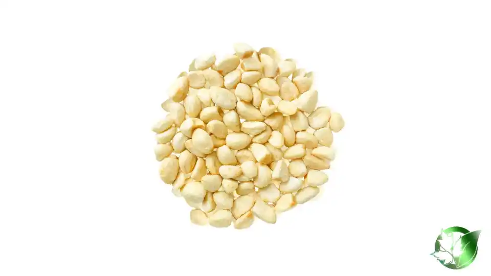 Bulk Frozen Fried Garlic | Suppliers | Wholesale | ParsaFood Global